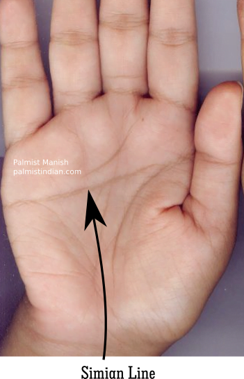 types of hands in palmistry