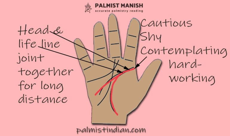 Huge Space between the Head and the Lifeline - Palmist Manish