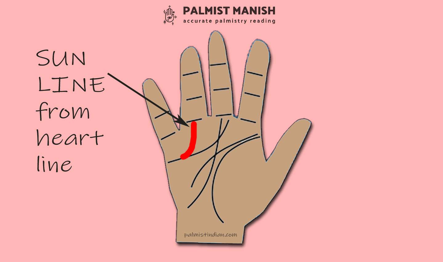 Sun Line Apollo Line Palmistry Career | Luck Line | Name Fame Line