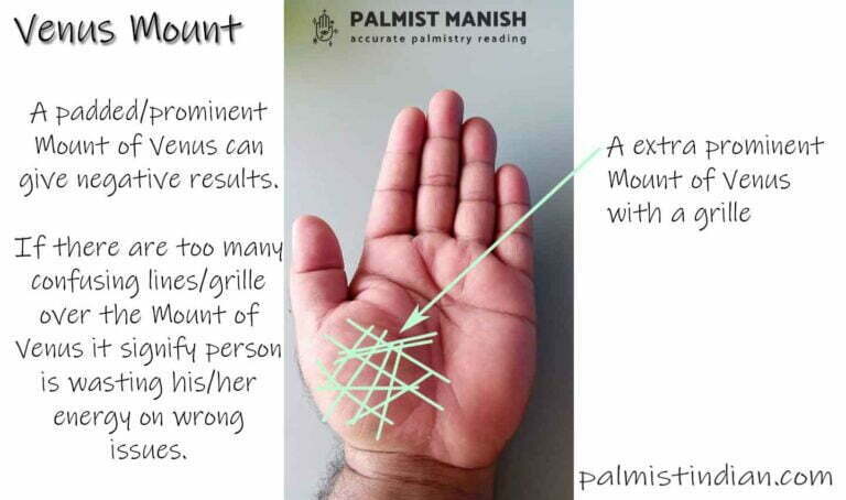 mount-of-venus-in-palmistry-with-illustration-palmist-manish