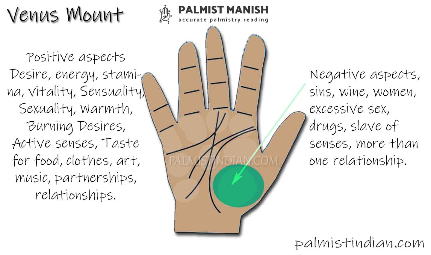 mount-of-venus-in-palmistry-with-illustration-palmist-manish